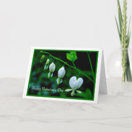 Happy Valentine's Day White Hearts Feiertagskarte