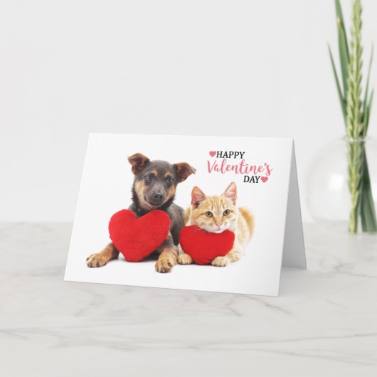 Happy Valentine's Hund und Katze Feiertagskarte (Vorderseite)