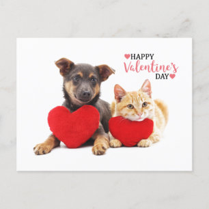 Happy Valentine's Hund und Katze Feiertagspostkarte