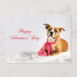Happy Valentinstag Pitbull Welpe Feiertagspostkarte