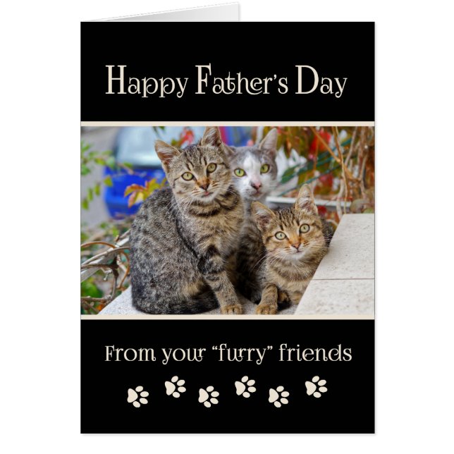 Happy Vatertag von Katzen - Foto (Vorne)