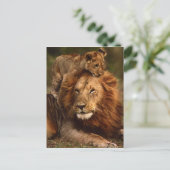 Happy Vathers Day Daddy Lion und Lion Cub Postkarte (Stehend Vorderseite)