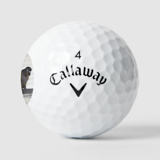 Happy Vathers Day Golfball (Logo)