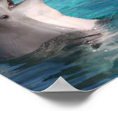 Happy Vibes lächeln Dolphin oder fügen Sie Ihr Fot Poster (Ecke)