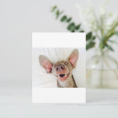 Happy Weimaraner Postkarte (Stehend Vorderseite)