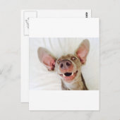Happy Weimaraner Postkarte (Vorne/Hinten)