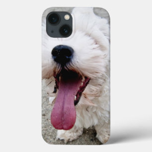 Happy Welpe, weißer Hund, Malteese, Maltipoo. Case-Mate iPhone Hülle