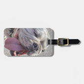 Happy White Bulldog Gepäckanhänger (Vorderseite horizontal)