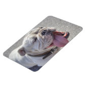 Happy White Bulldog Magnet (Linke Seite)
