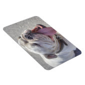 Happy White Bulldog Magnet (Rechte Seite)