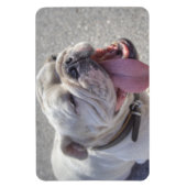 Happy White Bulldog Magnet (Vertikal)