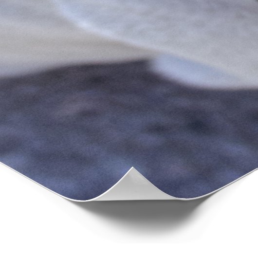 Happy White Bulldog Poster (Ecke)