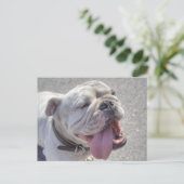 Happy White Bulldog Postkarte (Stehend Vorderseite)
