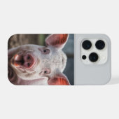 Happy White Pig Tongue Poke,  iPhone Hülle (Rückseite (Horizontal))