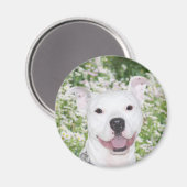 Happy White Pillbull Magnet (Vorderseite/Rückseite)