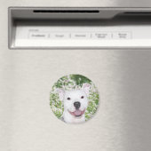 Happy White Pillbull Magnet (In Situ (Geschirrspüler))