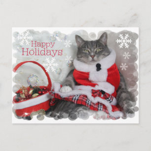 Happy Winter Holidays with Cat Feiertagspostkarte