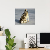 Happy Wolf auf gefrorenem Teich Poster (Heimbüro)