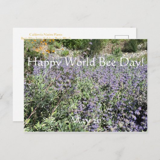 Happy World Bee Day!Postcard Postcard Postkarte (Vorne/Hinten)