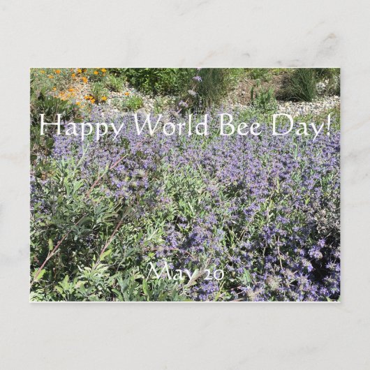 Happy World Bee Day!Postcard Postcard Postkarte (Vorderseite)