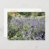 Happy World Bee Day!Postcard Postkarte (Vorne/Hinten)