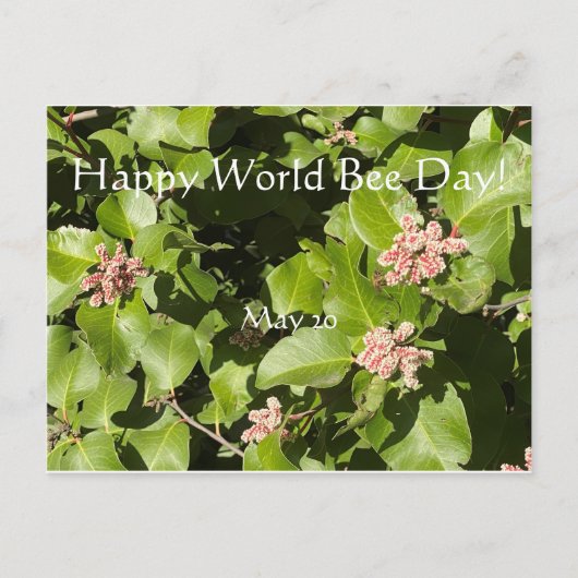 Happy World Bee Day! Postkarte (Vorderseite)