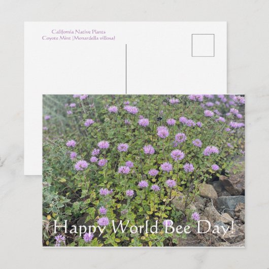 Happy World Bee Day! Postkarte (Vorne/Hinten)