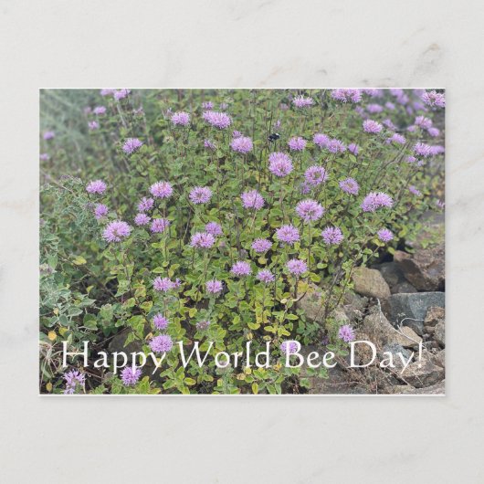 Happy World Bee Day! Postkarte (Vorderseite)