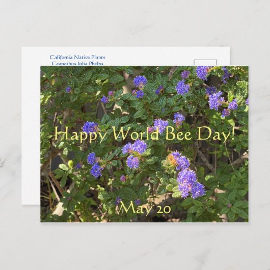 Happy World Bee Day! Postkarte (Vorne/Hinten)