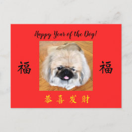 Happy Year of the Dog Pekingese CNY Postkarte