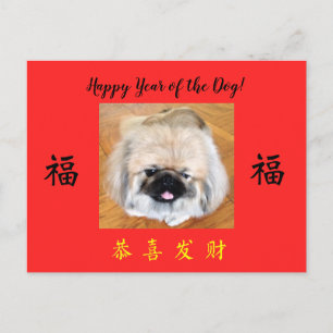 Happy Year of the Dog Pekingese CNY Postkarte