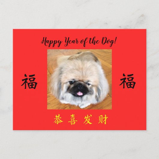 Happy Year of the Dog Pekingese CNY Postkarte (Vorderseite)
