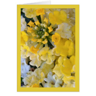 Happy Yellow Blooms - Song of Sol. 6:1 Grüß. Karte