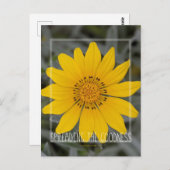 Happy Yellow Blume - Herzlichen Glückwunsch Postkarte (Vorne/Hinten)