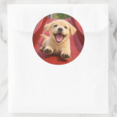 Happy Yellow Labrador Puppy Sliding a slide Runder Aufkleber (Tasche)