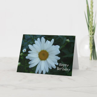 HappyBirthday-Daisy Karte