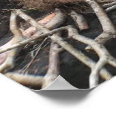 HAPUU FERNS BIG ISLAND HAWAII POSTER (Ecke)