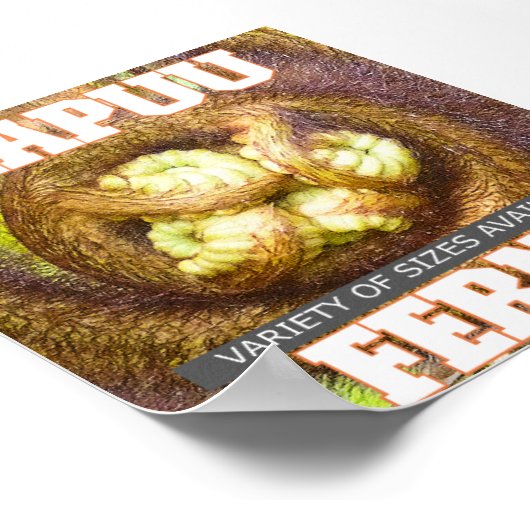 HAPUU FERNS BIG ISLAND HAWAII POSTER (Ecke)