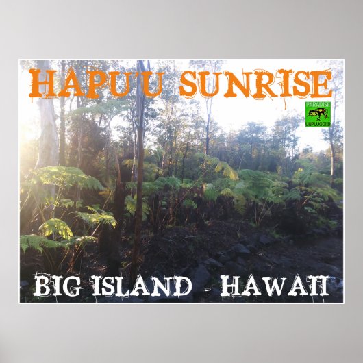 HAPU'U SUNRISE BIG ISLAND HAWAII POSTER (Vorne)