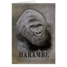 Harambe (Graphite Zeichnend)