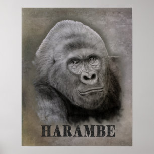 Harambe (Graphite Zeichnend) Poster