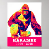 Harambe Tribute Poster (Vorne)