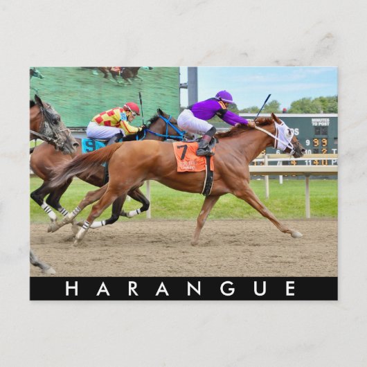Harangue Postkarte (Vorderseite)