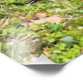 Harbinger of Spring Fotodruck (Ecke)