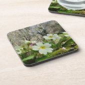 Harbinger of Spring Getränkeuntersetzer (Linke Seite)