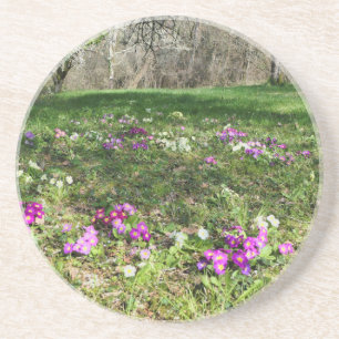 Harbinger of Spring Getränkeuntersetzer