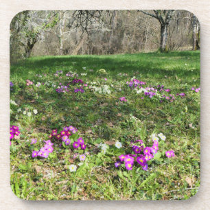 Harbinger of Spring Getränkeuntersetzer