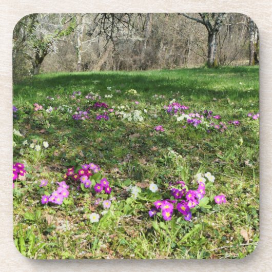 Harbinger of Spring Getränkeuntersetzer (Vorderseite)