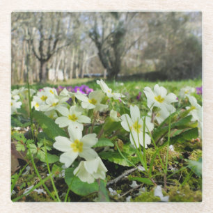 Harbinger of Spring Glasuntersetzer