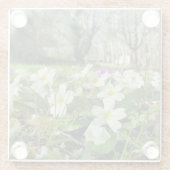 Harbinger of Spring Glasuntersetzer (Rückseite)